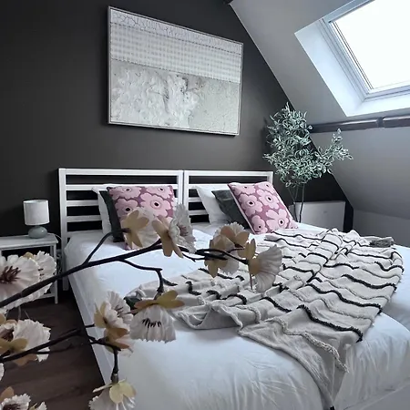 Gite Saphir - Sauna - Pairi Daiza 8 Min - Triplex Brugelette